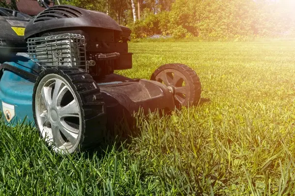 Can You Mow Wet Grass in Vacaville, CA