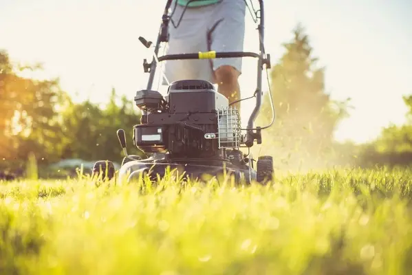 Can You Mow Wet Grass in Vacaville, CA