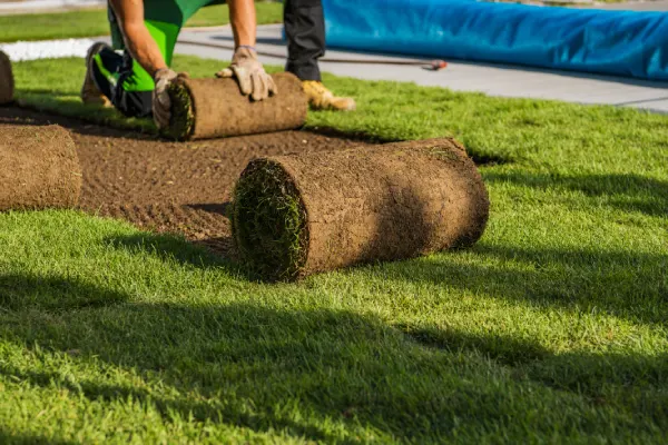 How Long After Installing Sod Can You Walk On It in Vacaville, CA