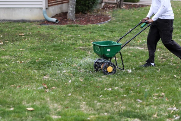 How often should you fertilize your lawn in Vacaville, CA