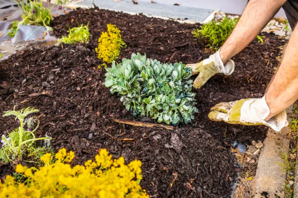 Quality Mulching in Vacaville, CA