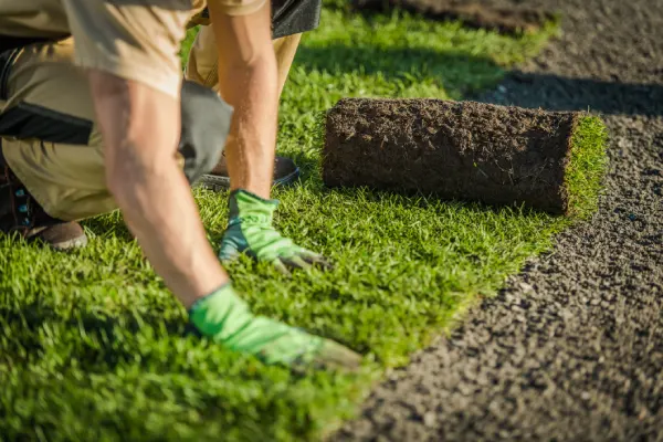 Sod Installation in Vacaville, CA