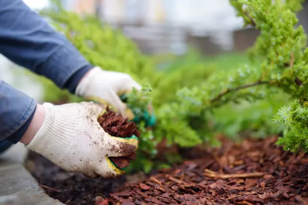 What Does Mulch Do in Vacaville, CA