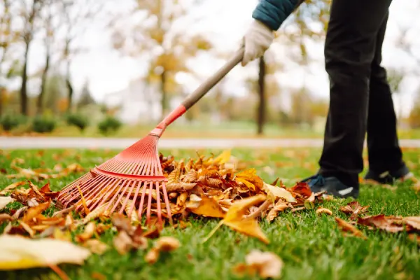 Yard Cleanup in Vacaville, CA